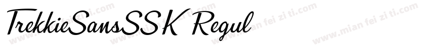 TrekkieSansSSK Regul字体转换